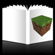 Image for article titled This Guy Wants to Write a Minecraft Novel